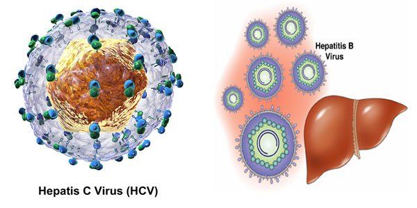 Phát hiện virus mới gây bệnh viêm gan ở người