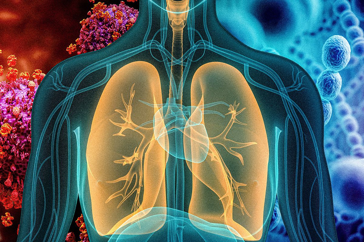 2 quốc gia châu Âu đối mặt dịch viêm phổi tương tự Trung Quốc